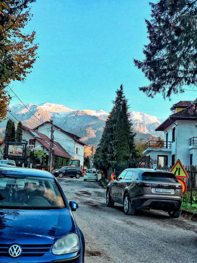 Transylvania Mountain View Cdi Bran  Exterior photo