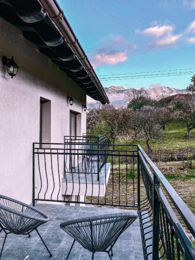 Transylvania Mountain View Cdi Bran  Exterior photo