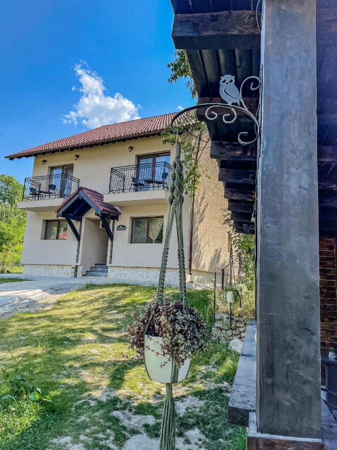 Transylvania Mountain View Cdi Bran  Exterior photo