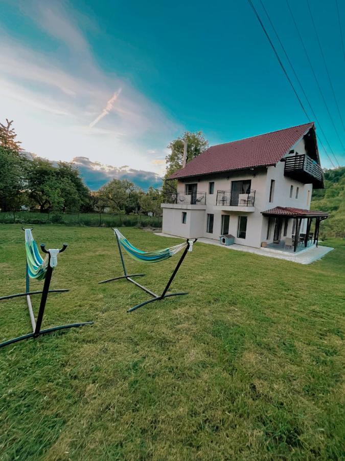 Transylvania Mountain View Cdi Bran  Exterior photo