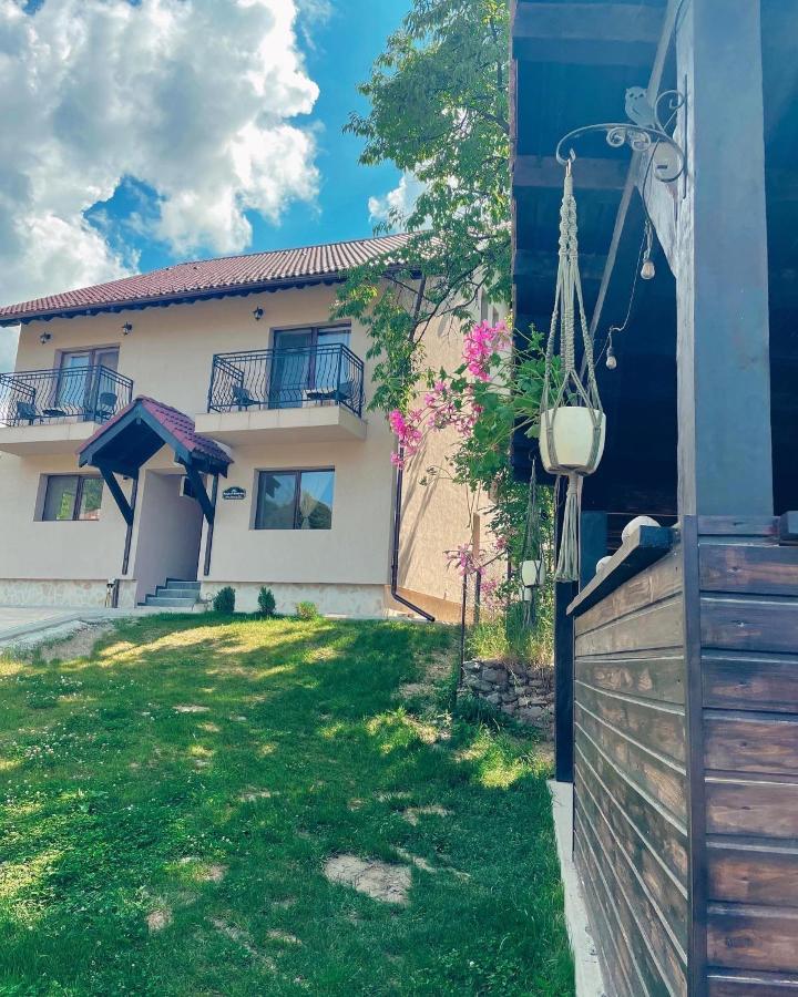 Transylvania Mountain View Cdi Bran  Exterior photo