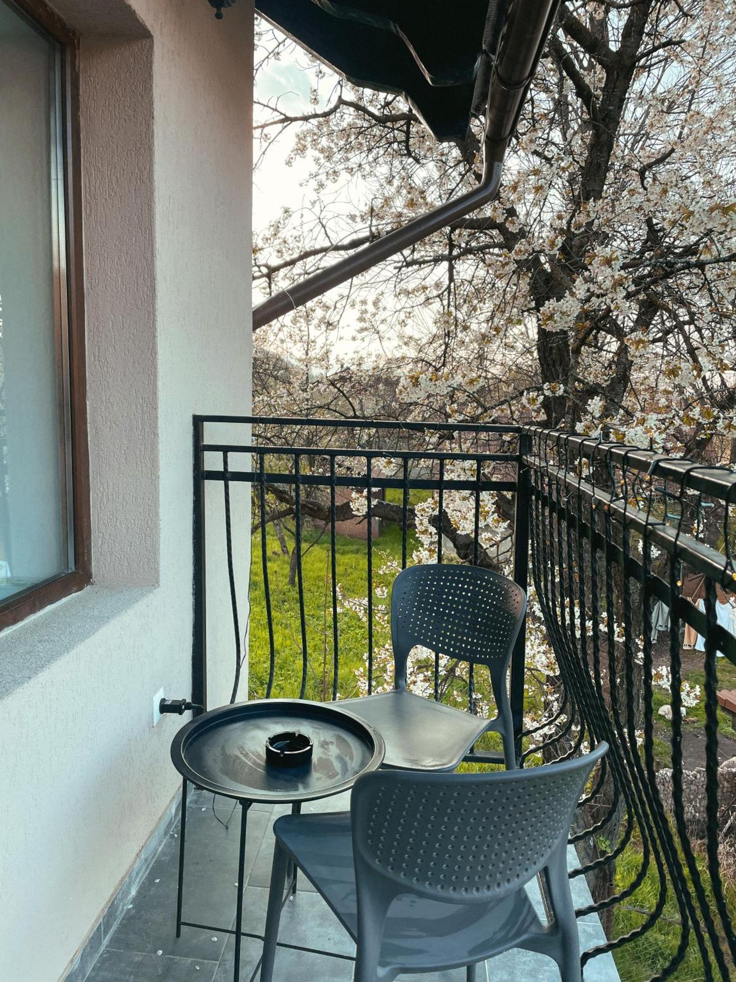 Transylvania Mountain View Cdi Bran  Room photo