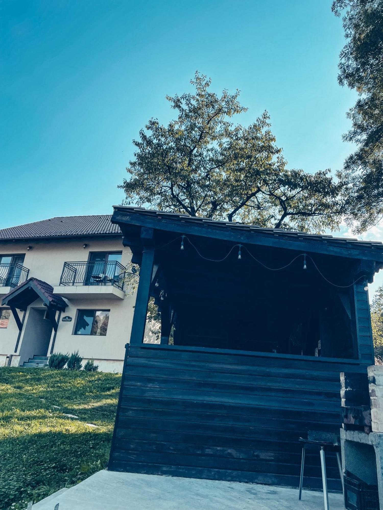 Transylvania Mountain View Cdi Bran  Exterior photo